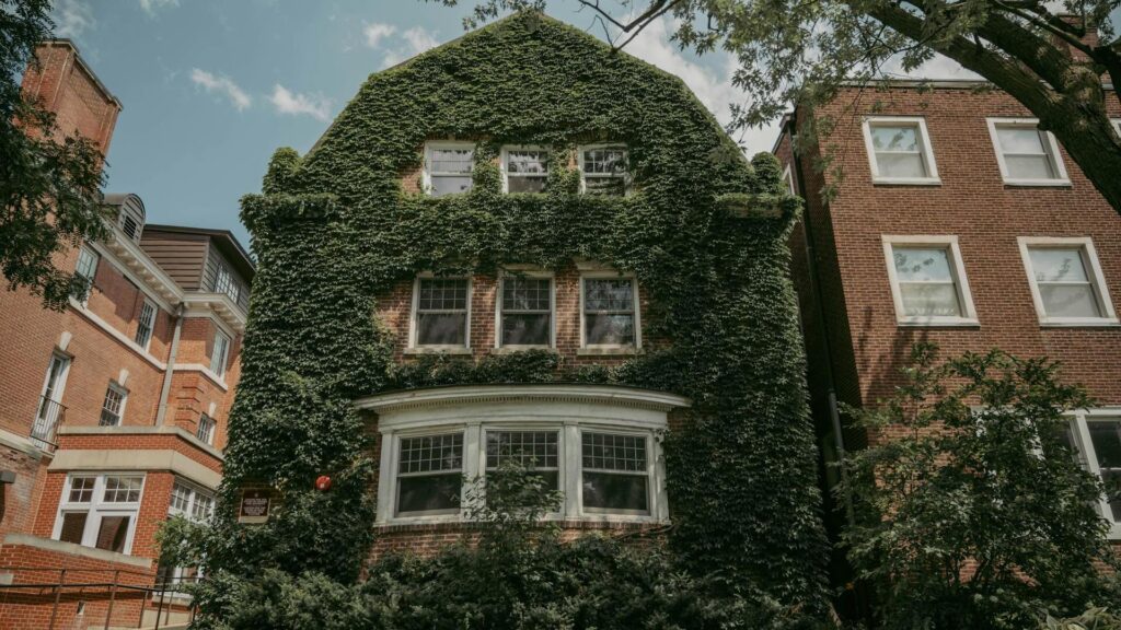 how to rezone a property in Chicago